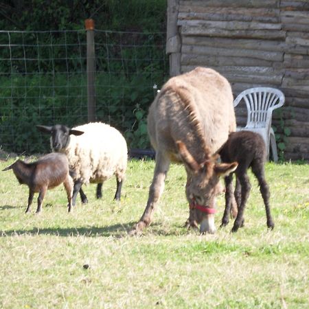 Bed and Breakfast Les Pieds Dans L'Herbe Rosporden Экстерьер фото