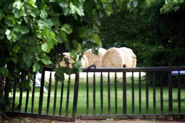 Bed and Breakfast Les Pieds Dans L'Herbe Rosporden Экстерьер фото